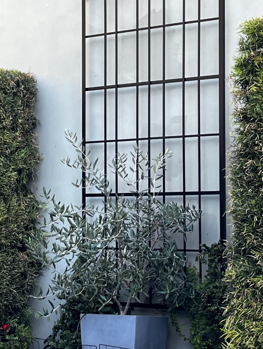 modern black tall trellis