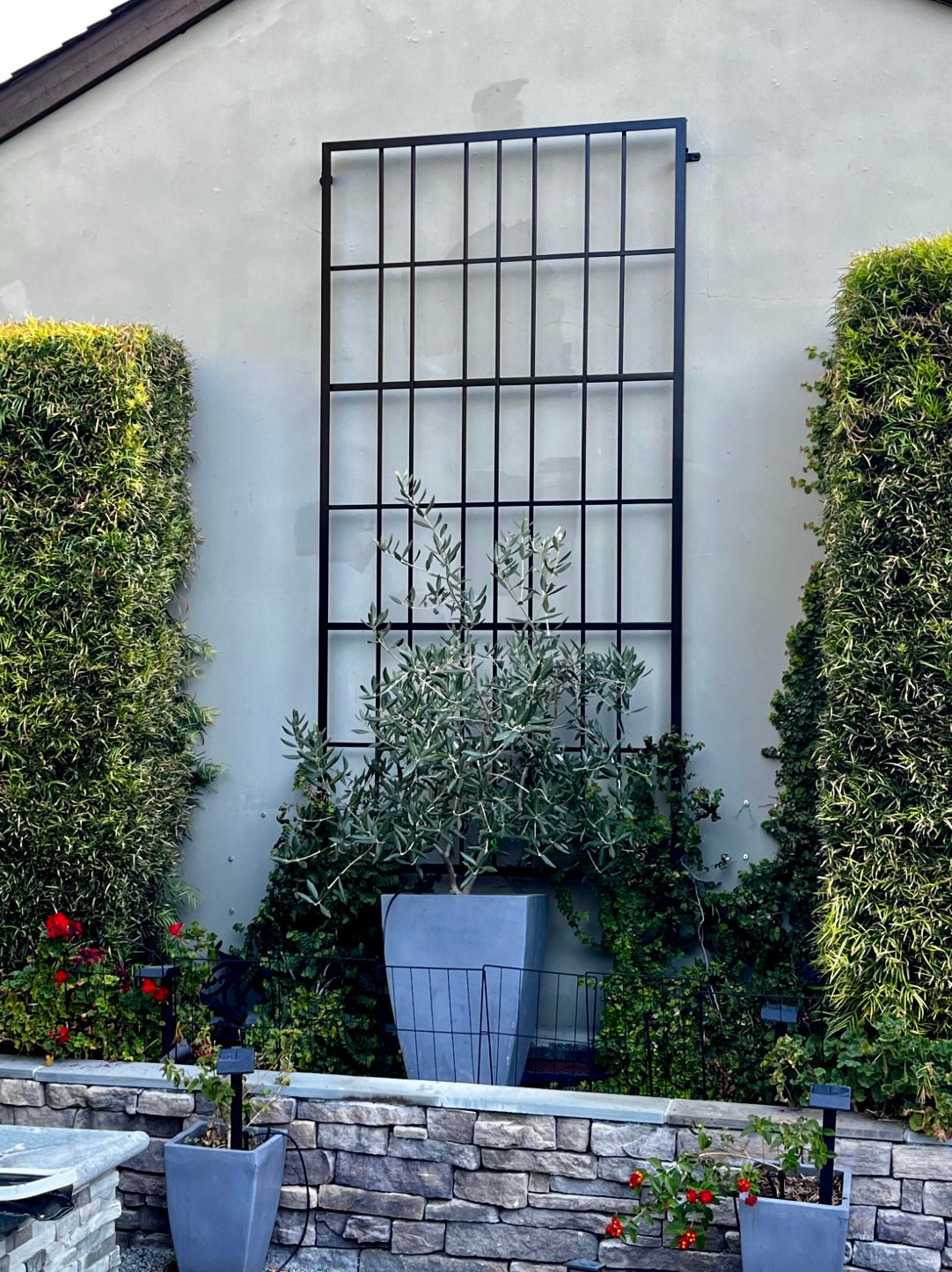 A black metal wall-mounted trellis installed on an exterior wall with plants growing around and beside it.
