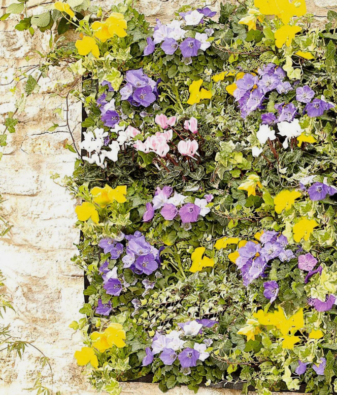 living wall planter