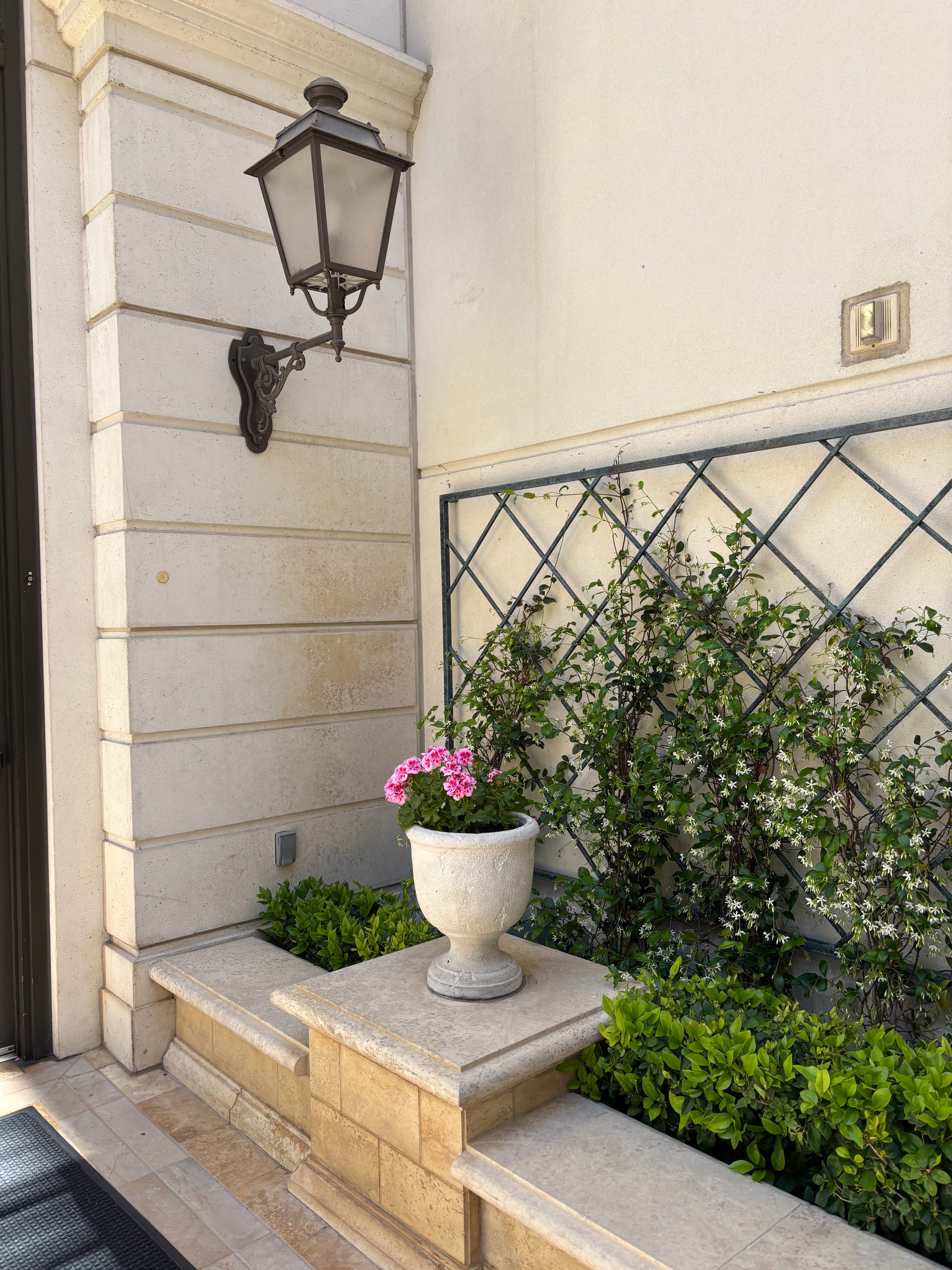 Durable powder coated flat bar trellis for outdoor use