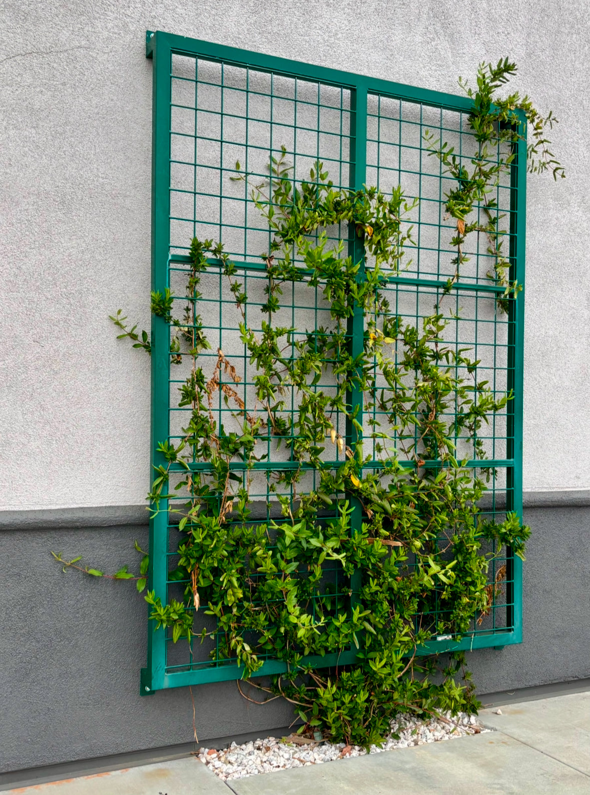 wall mounted trellis for stucco