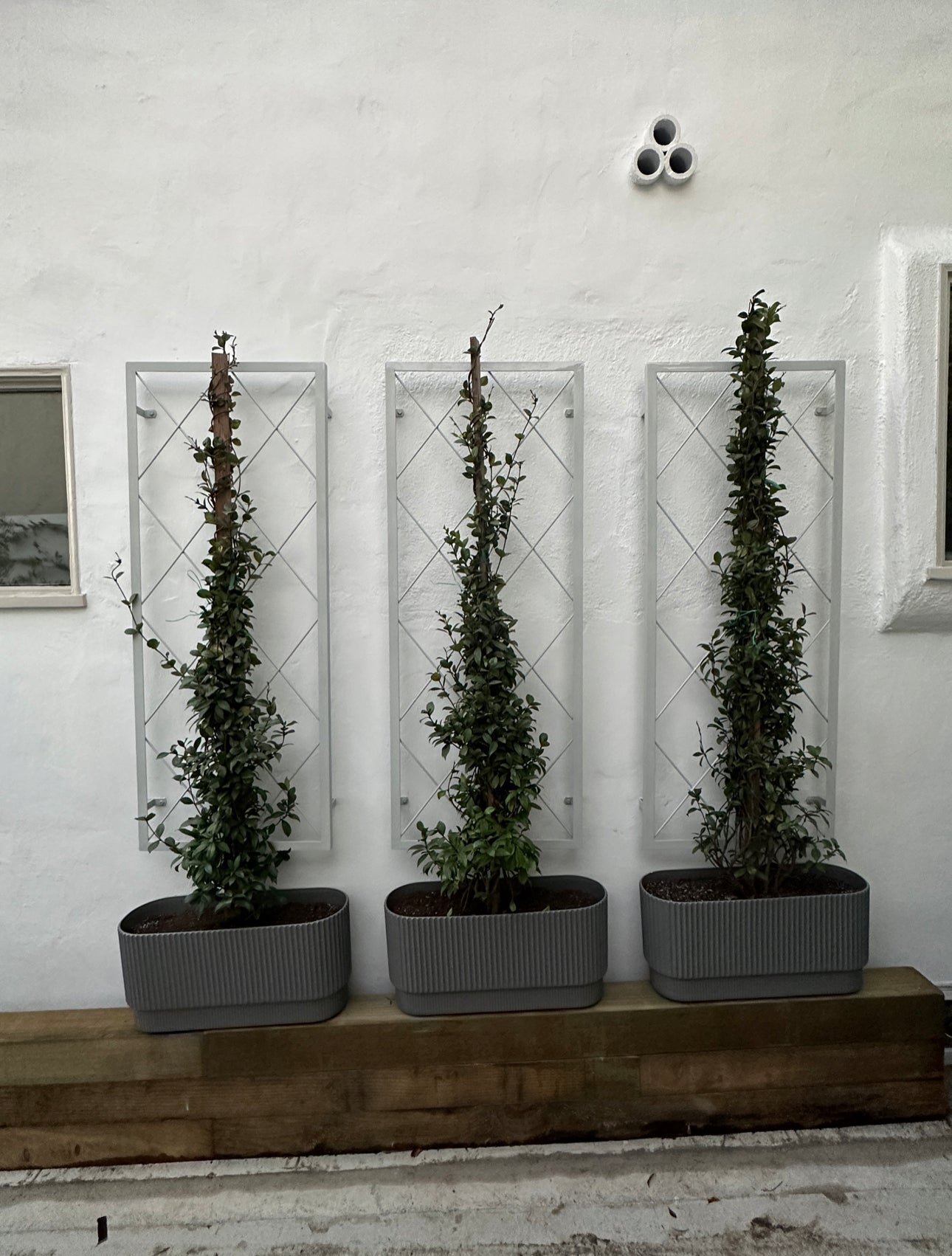 Off white beige colored trellises in diamond pattern