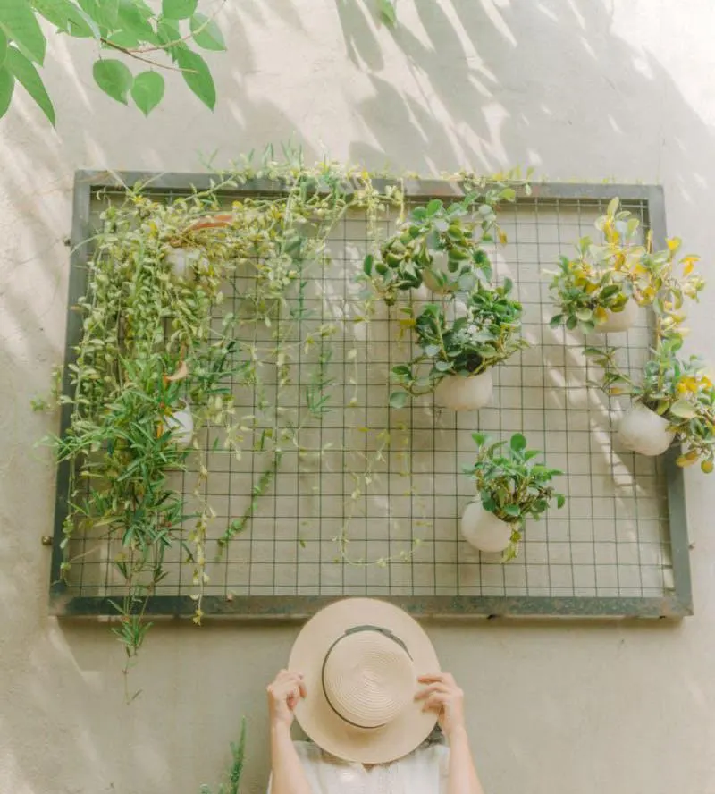 Heavy Duty Wire Mesh Trellis