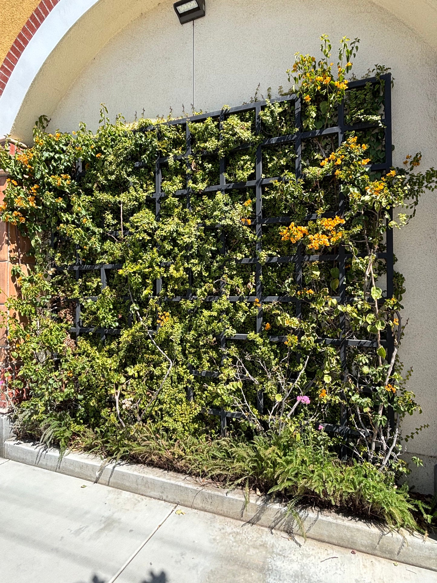 Classic Square Grid Trellis - Stand Alone