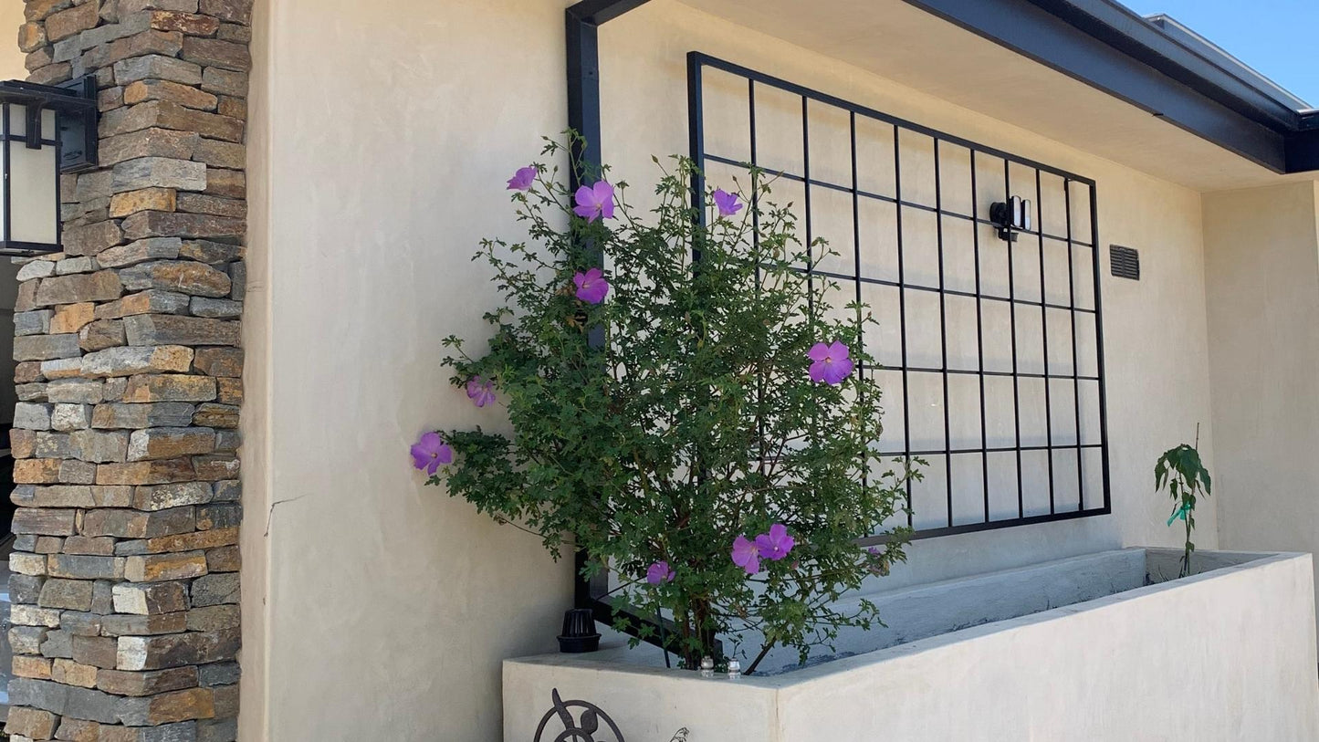 Classic Square Grid Trellis - Stand Alone