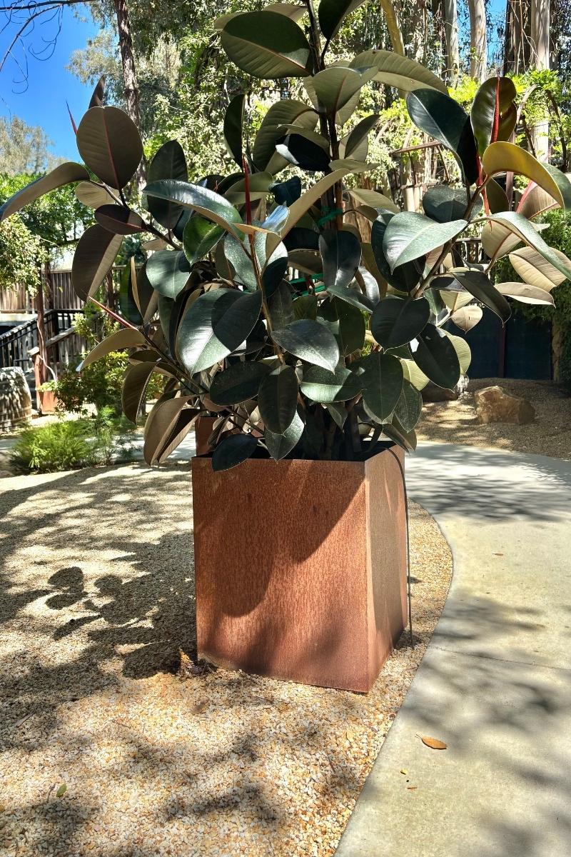 Architectural Grade Solid Metal Planter Box