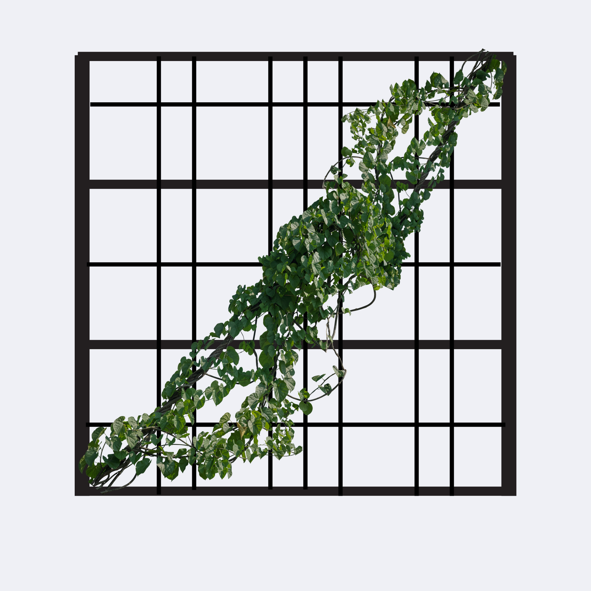 modern black verticle trellis