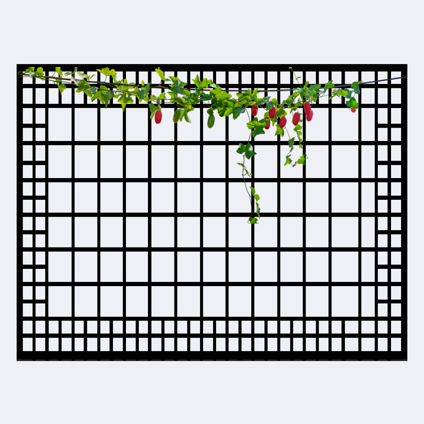 Large Trellis Horizontal panel for plants