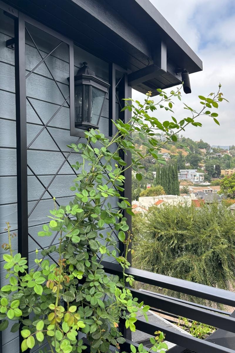 free standing plant trellis Heavy Gauge Diamond Pattern Freestanding Trellis, Diamond Trellis Fence For Plants, Made-to-order metal Diamond Trellis, 8x4