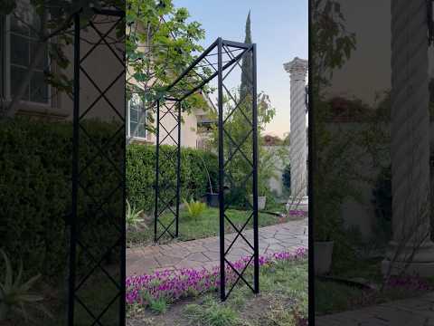 black diamond arbor pergola