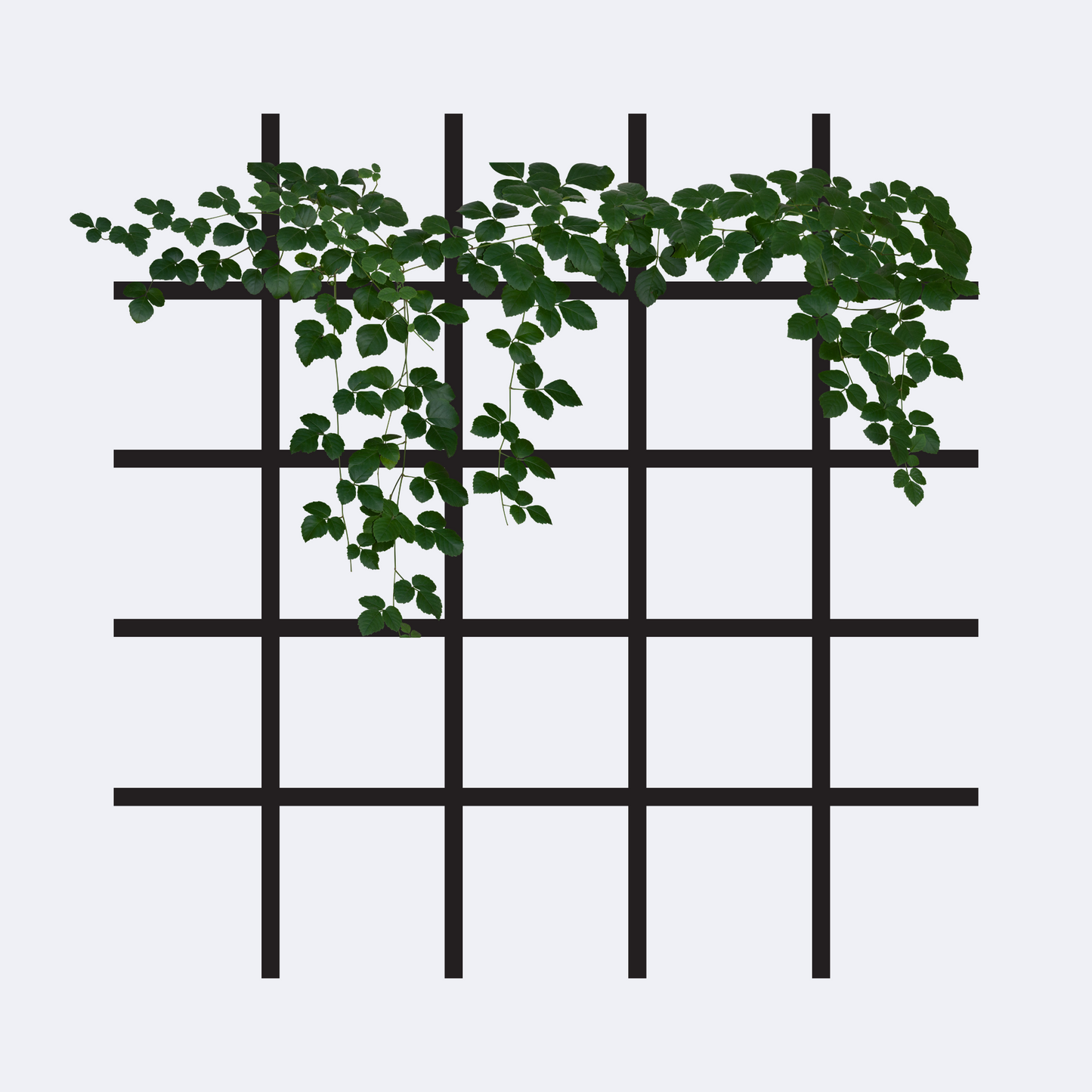 square grid frameless trellis