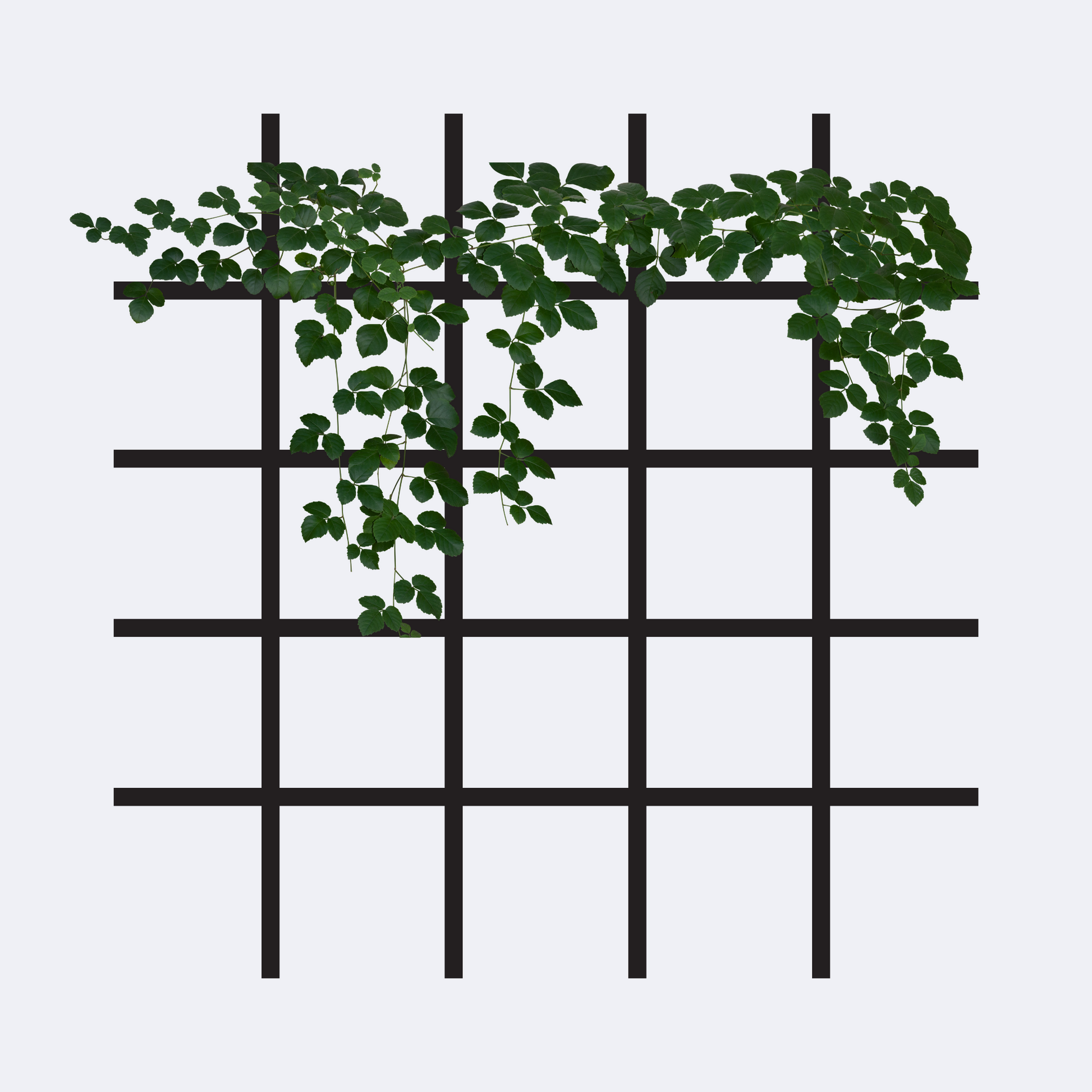 square grid frameless trellis