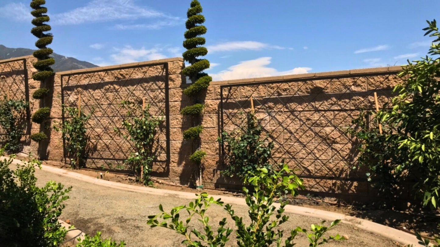 Heavy Gauge Diamond Pattern Stand Alone Trellis