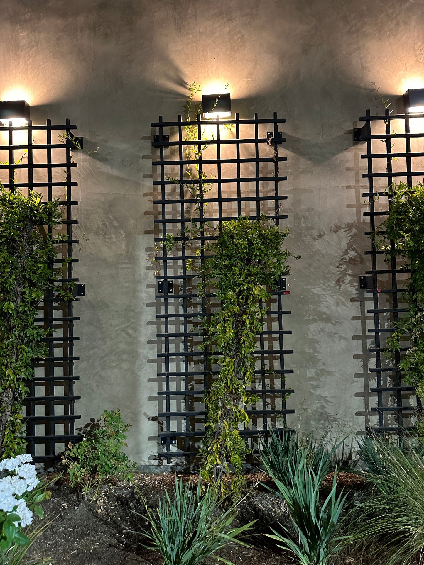 tall vertical trellis
