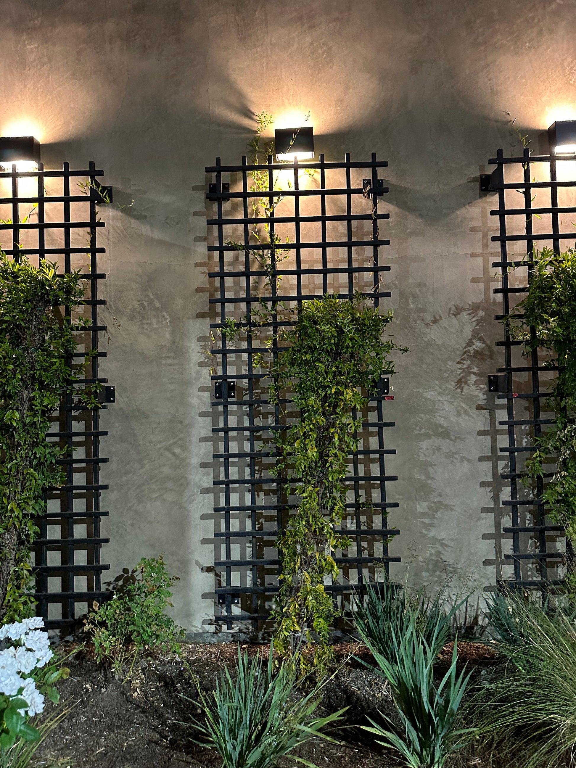 tall vertical trellis