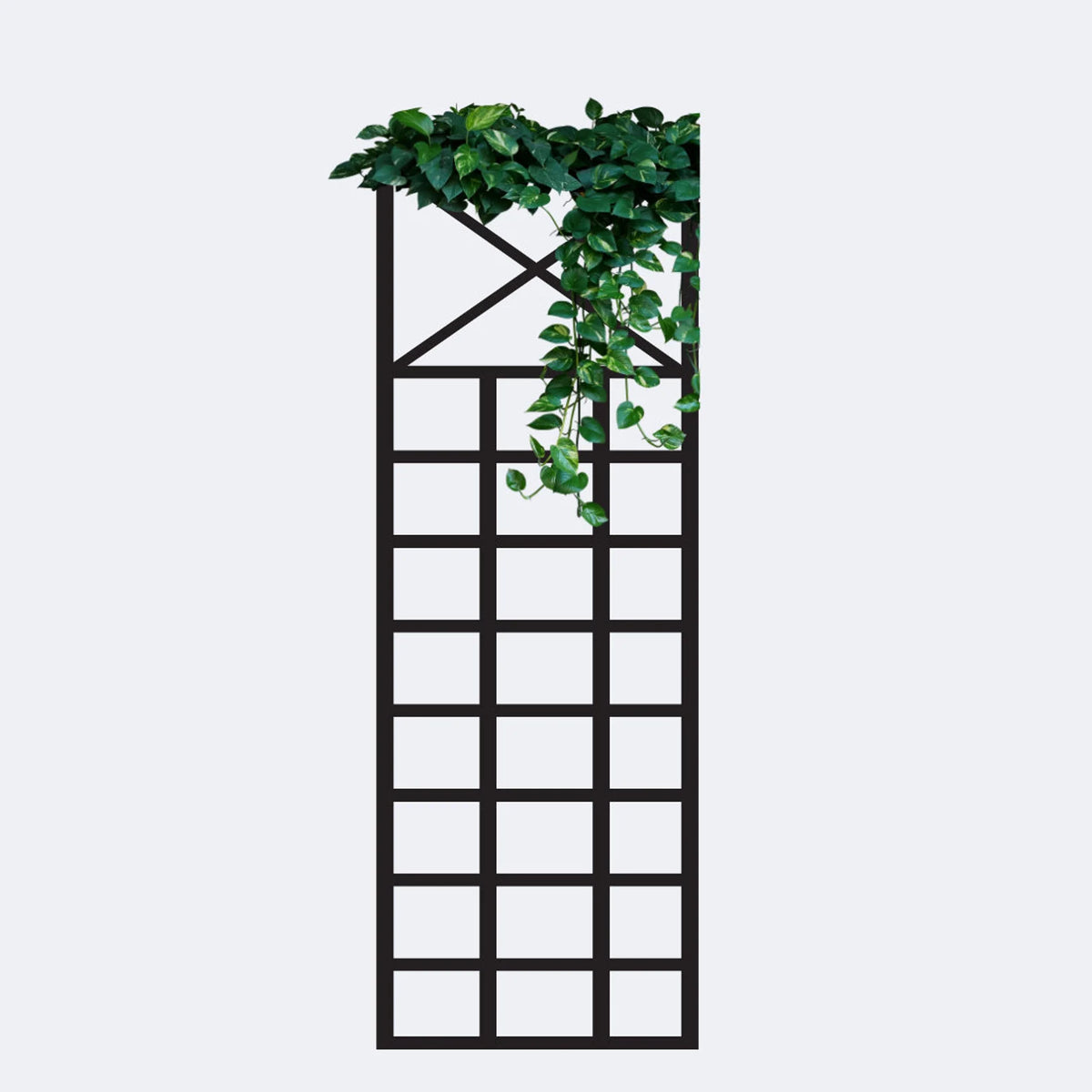 plant trellis with nice pattern