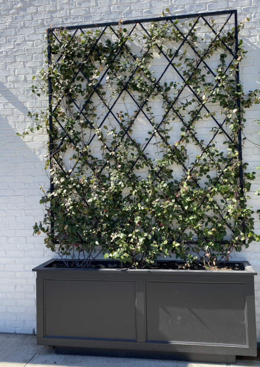 metal trellis plant supports Heavy duty Wrought Iron Trellis, Tall Rhombus Diamond Trellis Wall Mounted, Custom Size, Metal Garden Trellis For Plants, 8x2