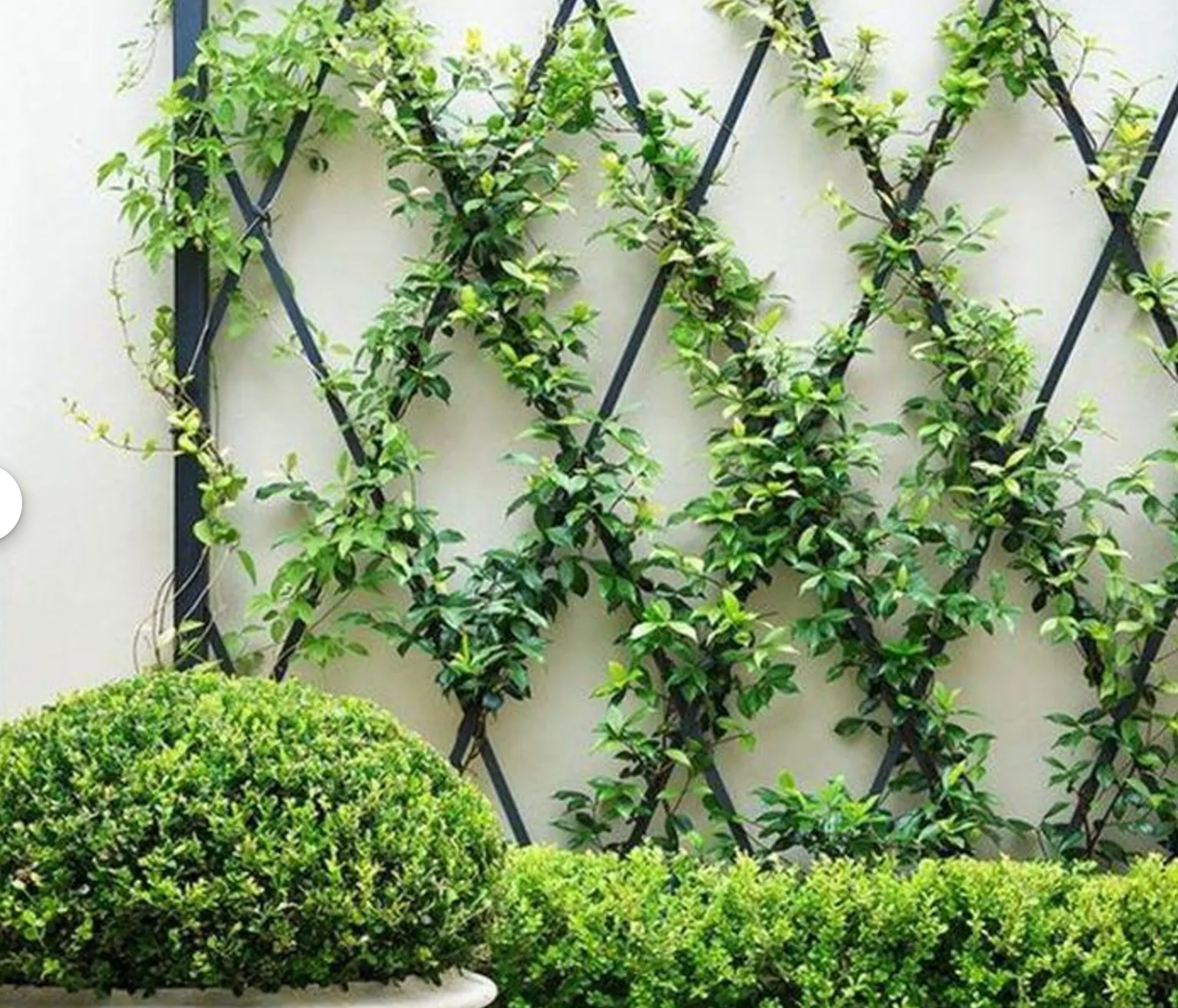 Rhombus Diamond Metal Garden Trellis