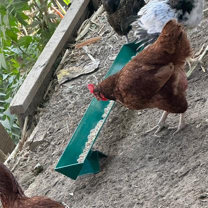 green Chicken feeding trough