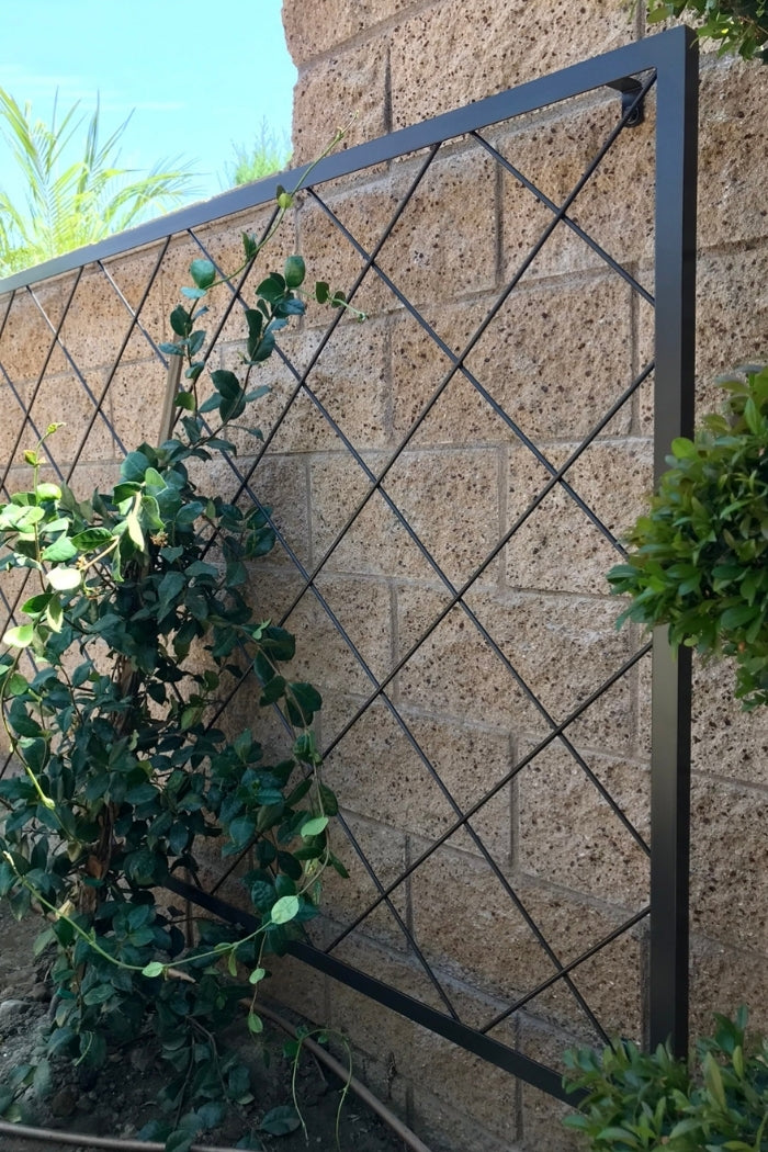 plants for trellis fence Heavy Gauge Diamond Pattern Freestanding Trellis, Diamond Trellis Fence For Plants, Made-to-order metal diamond trellis – S2N Industries