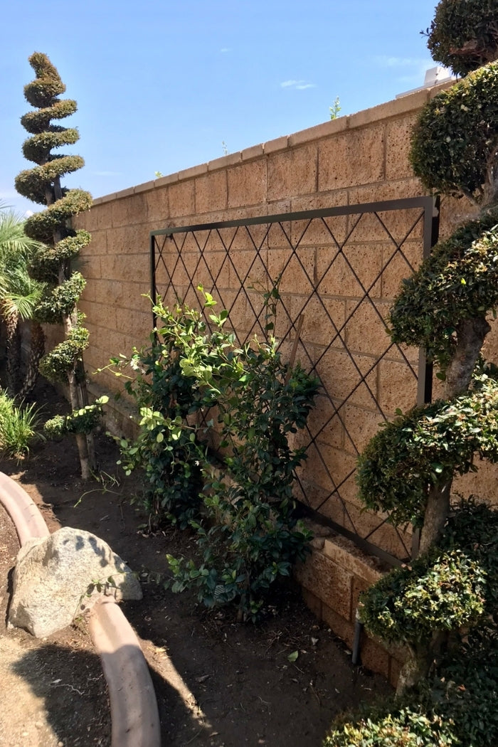 Heavy Gauge Diamond Pattern Stand Alone Trellis