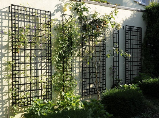 modern outdoor trellis for plant support