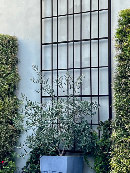 Urban Overlap Square Metal Wall Mounted Trellis