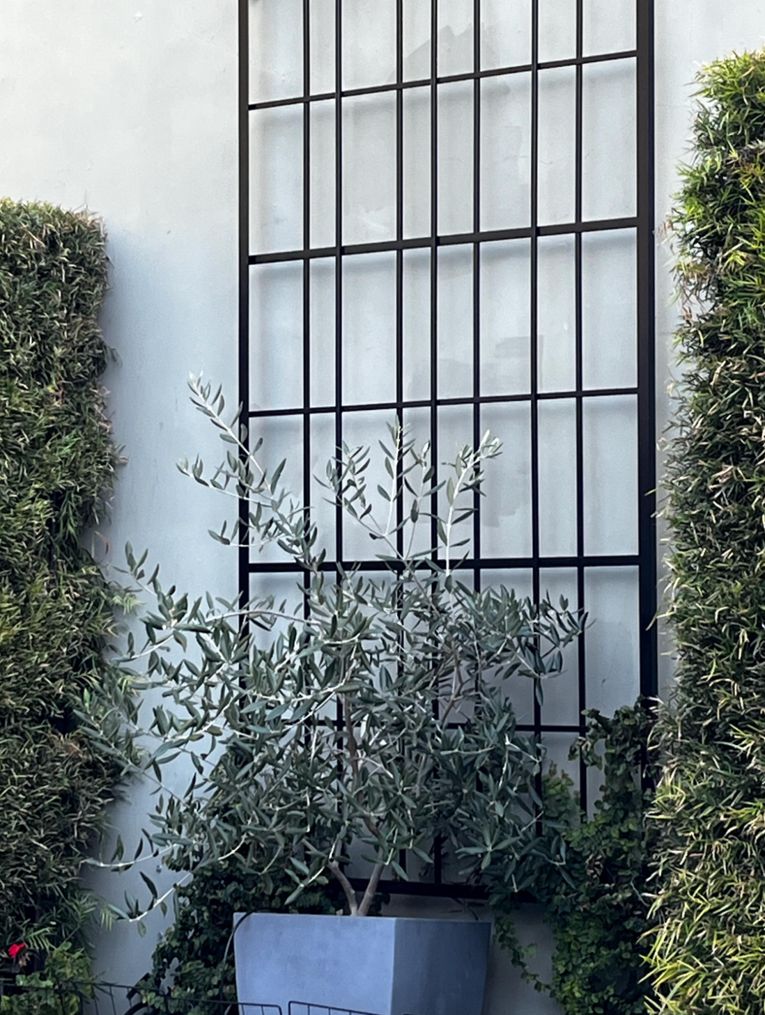 Urban Overlap Square Metal Wall Mounted Trellis