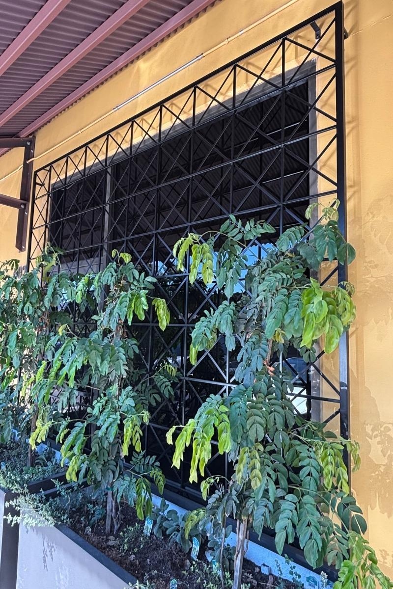 Barn Style Square Plant Trellis Stand Alone