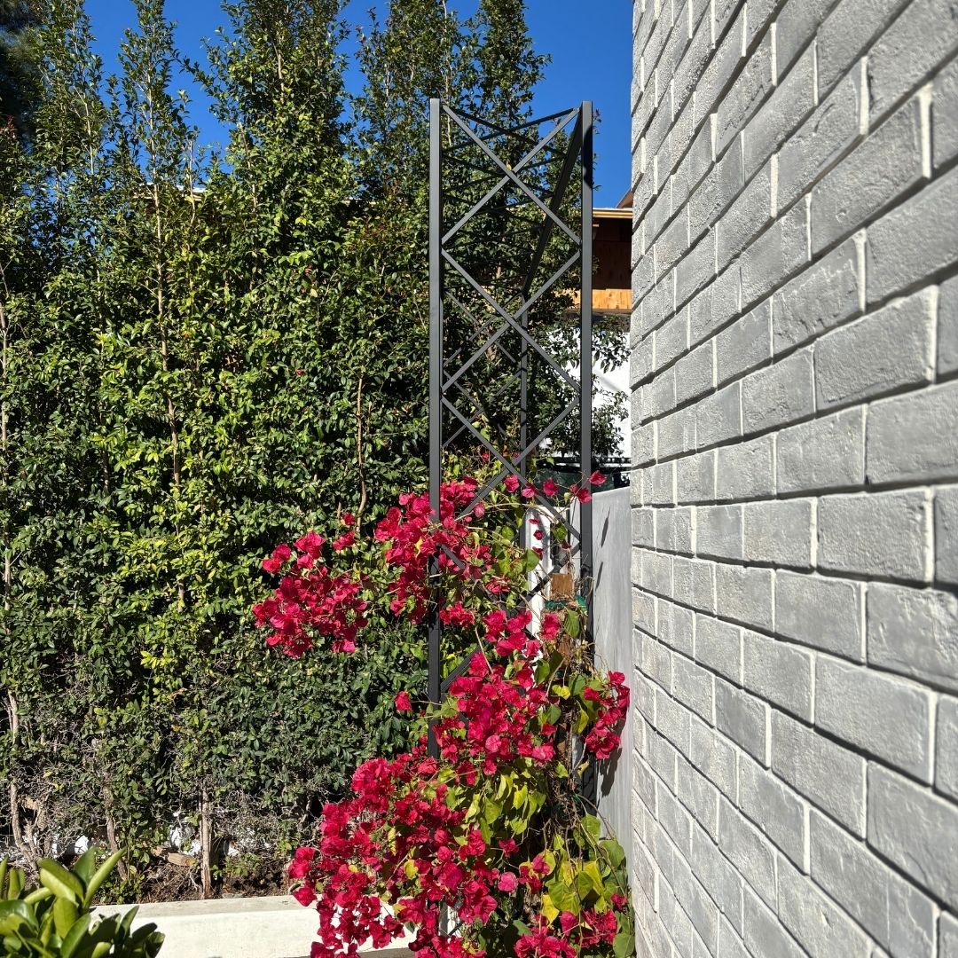 Metal bougainvillea Garden Trellis 