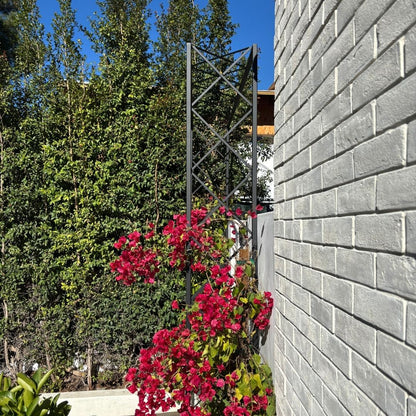 Metal bougainvillea Garden Trellis 