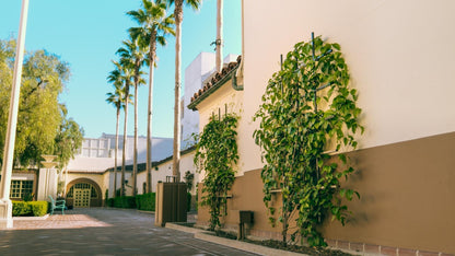 pair of 6x4 climbing plant trellis at Los Angeles Union Station