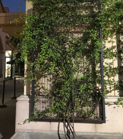 large brown metal trellis for climbing plants