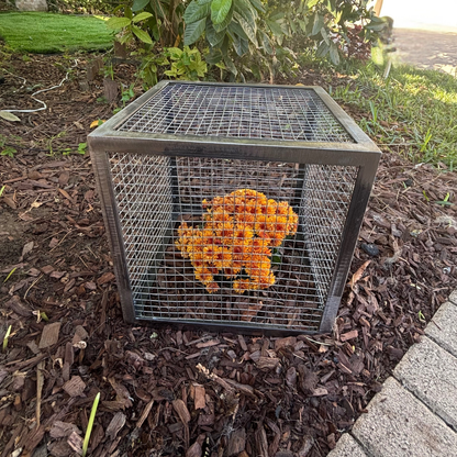 Plant Protect Crop Cage