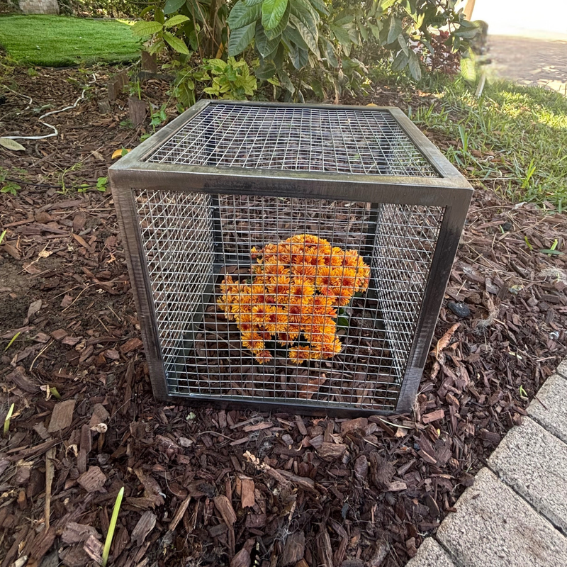 Plant Protect Crop Cage