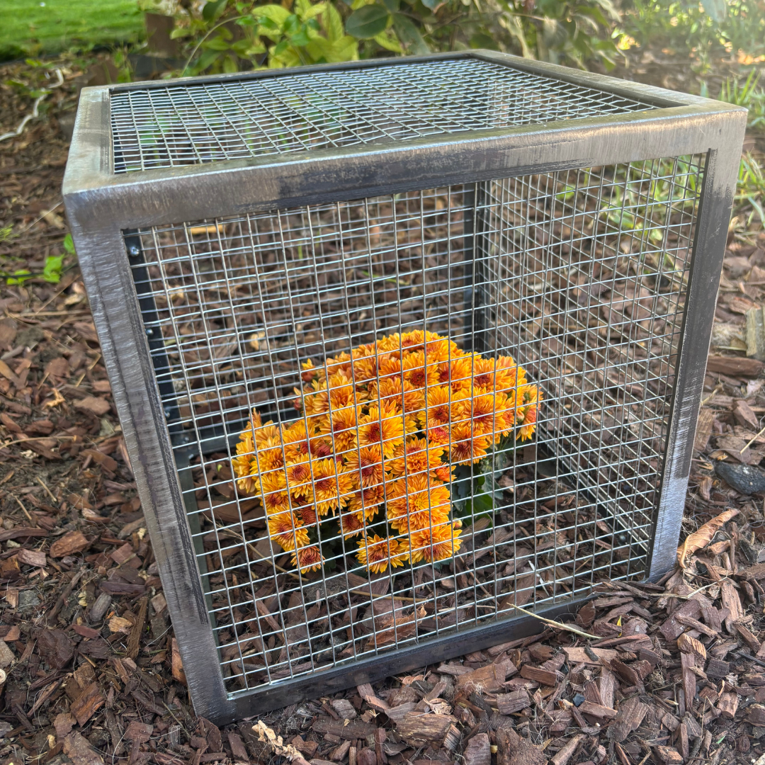 Plant Protect Crop Cage