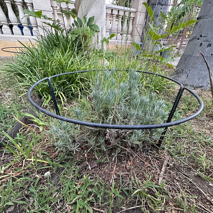 half round plant guides supporting lavender