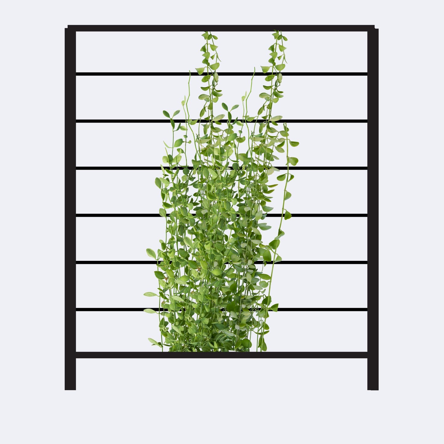 Simple Horizontal Bar Trellis