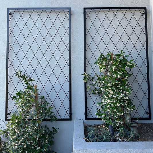 diamond Wall-Mounted Metal Trellises