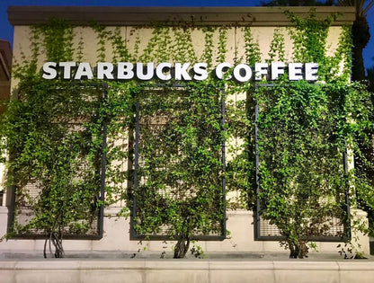 jumbo large metal trellis Starbucks