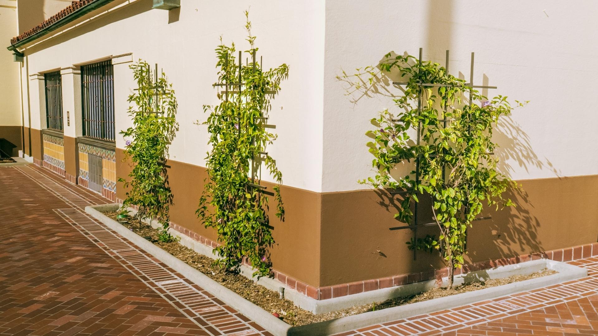3 matching wall trellis on planter