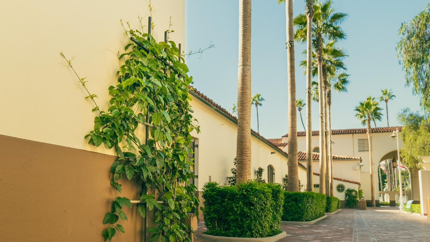 mission style landscape architecture