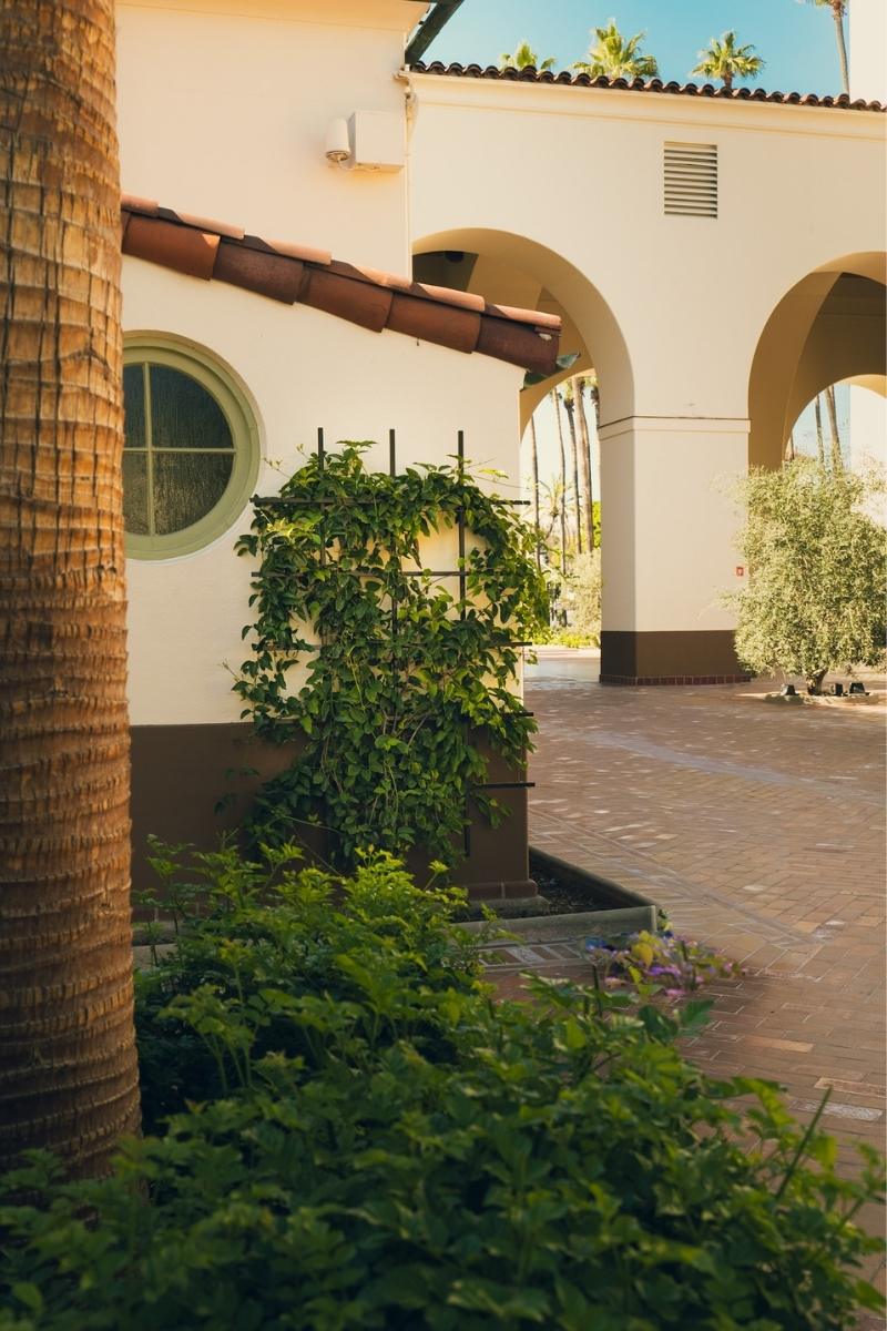 Courtyard trellis with palm tree, greenery, and a building with arched windows