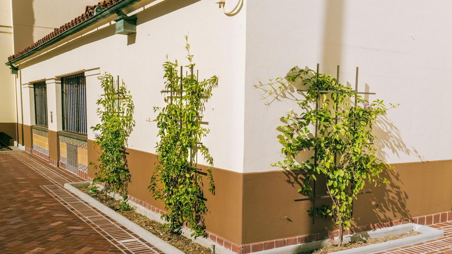 tubular grid trellises