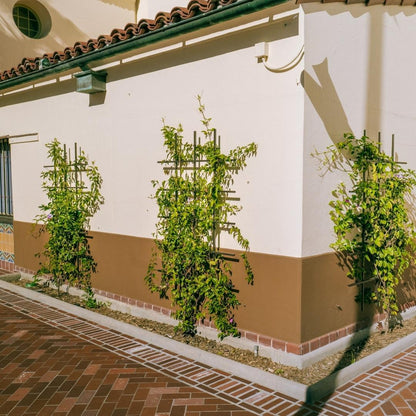 Custom Size Frameless Ladder Trellis - Wall Mounted