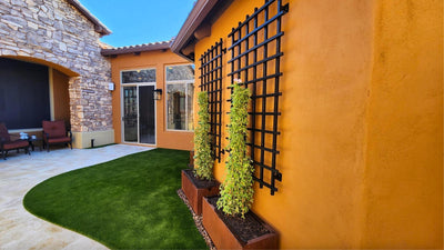 stunning ladder trellis