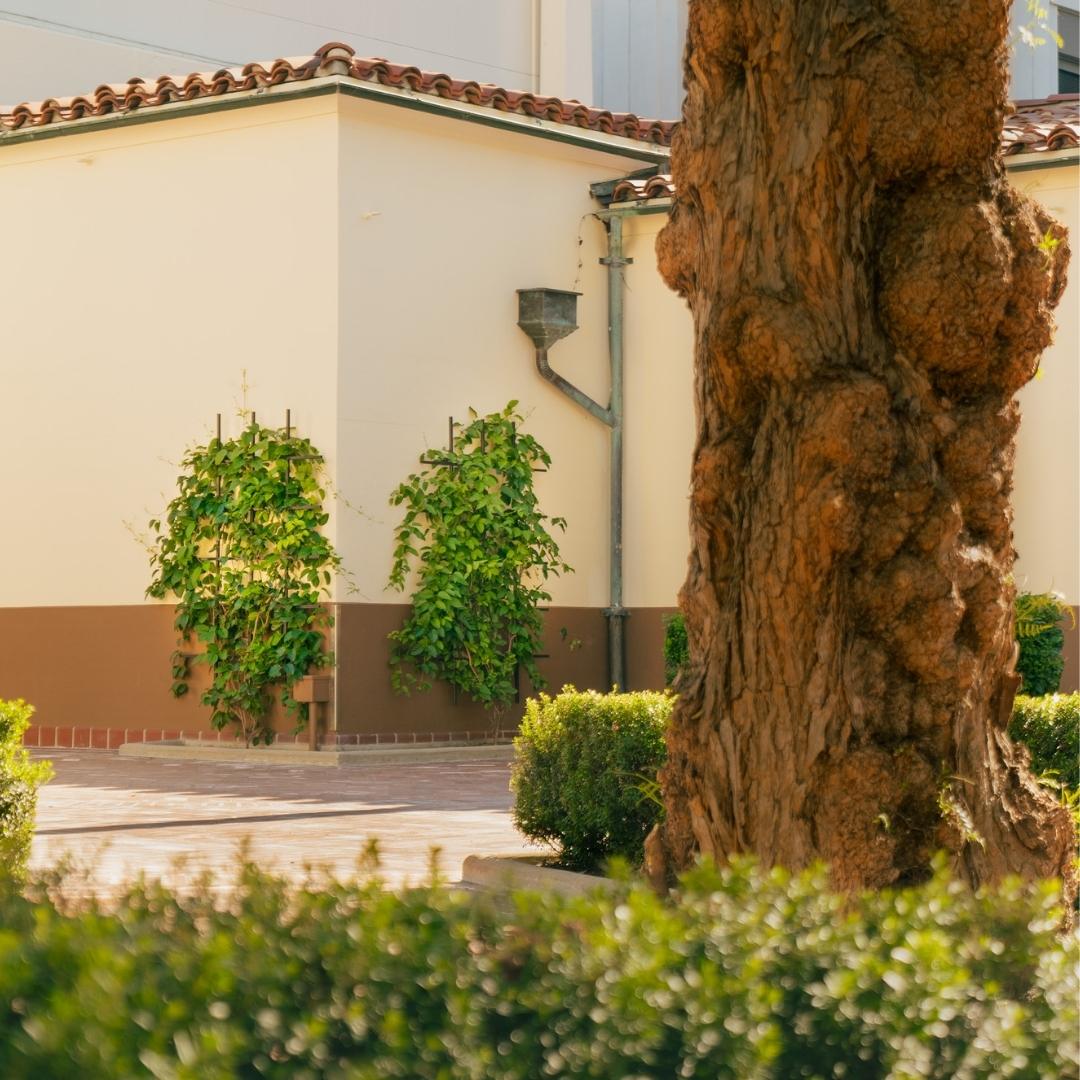2 matching bronze ladder trellis on stucco