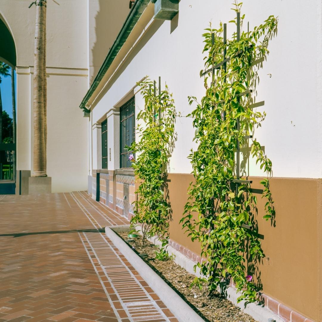 brick paved south patio lawn with vertical wall trellises at LA Union Station