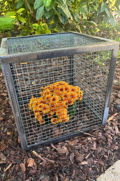 Plant Protect Crop Cage