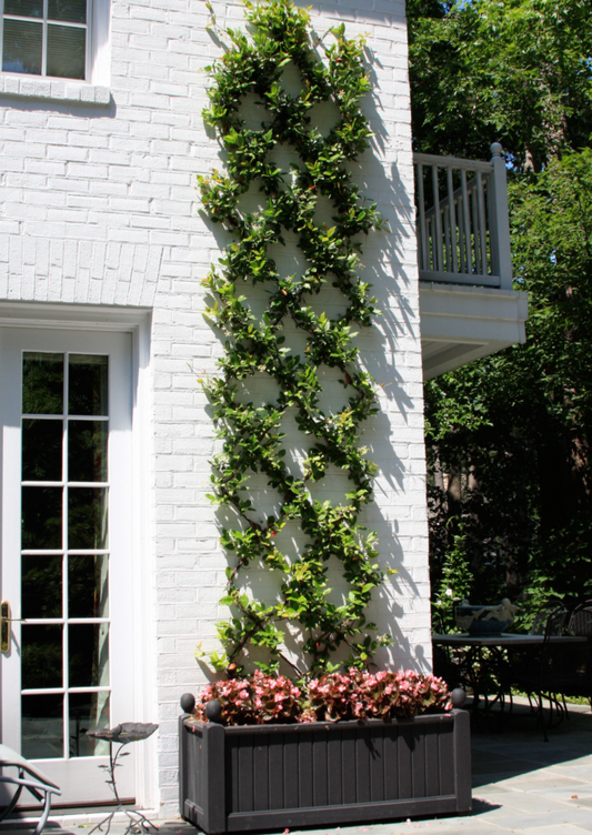 Outdoor Trellis – S2N Industries